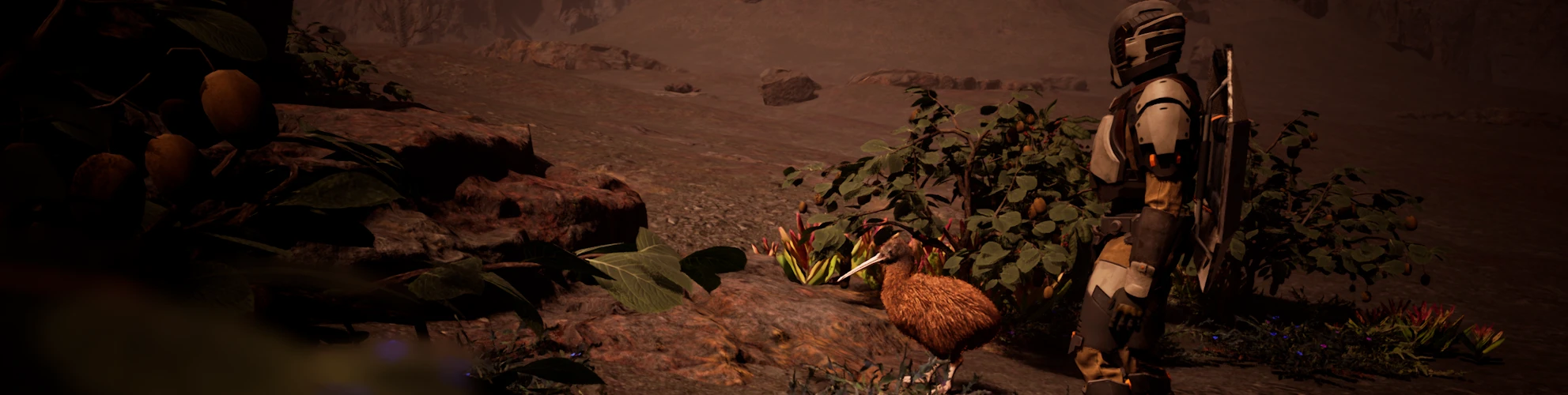 Ein Kiwi im nächtlichen Gelände.